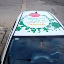 BIOENERGY