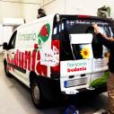 FLORISTER�A BEDUNIA, BLANCA