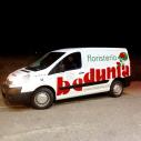 FLORISTER�A BEDUNIA, BLANCA