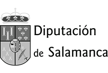 DIPUTACI�N DE SALAMANCA