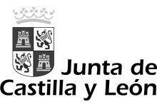 JUNTA DE CASTILLA Y LE�N